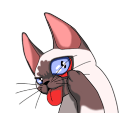 Cocoa of the Siamese cat sticker #3105450