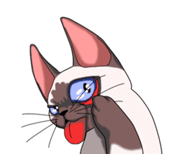 Cocoa of the Siamese cat sticker #3105450