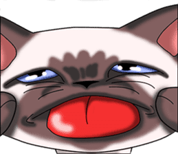 Cocoa of the Siamese cat sticker #3105452