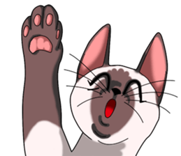 Cocoa of the Siamese cat sticker #3105455