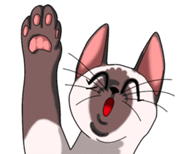 Cocoa of the Siamese cat sticker #3105455
