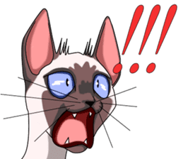 Cocoa of the Siamese cat sticker #3105457