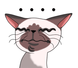 Cocoa of the Siamese cat sticker #3105458