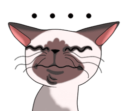 Cocoa of the Siamese cat sticker #3105458