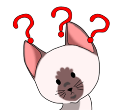 Cocoa of the Siamese cat sticker #3105460