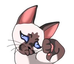 Cocoa of the Siamese cat sticker #3105461