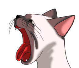 Cocoa of the Siamese cat sticker #3105462