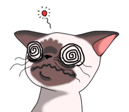 Cocoa of the Siamese cat sticker #3105463