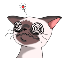 Cocoa of the Siamese cat sticker #3105463