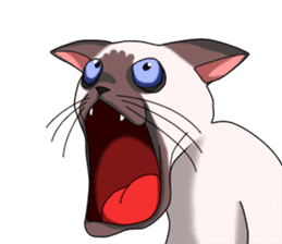 Cocoa of the Siamese cat sticker #3105466