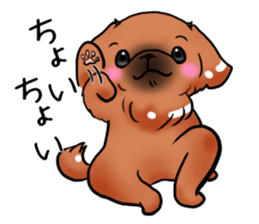 pekingese party! sticker #3105668