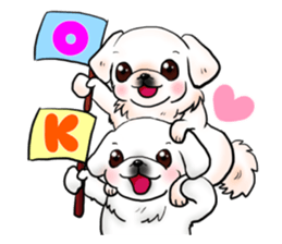 pekingese party! sticker #3105671