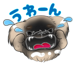 pekingese party! sticker #3105691