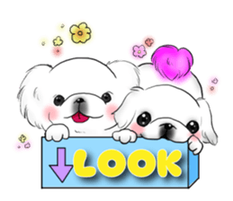 pekingese party! sticker #3105695
