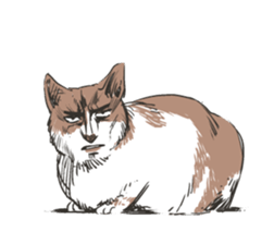 funny animal sticker international ver. sticker #3106107