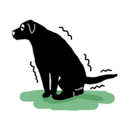 Black Labrador  Sticker sticker #3106687