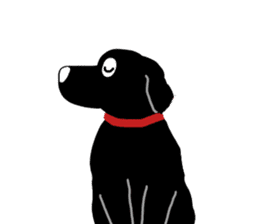 Black Labrador  Sticker sticker #3106690