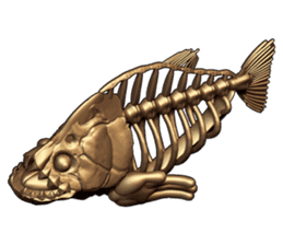 Steel frame piranha Kowalski sticker #3106784
