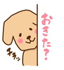 Rakkun3 sticker #3109709