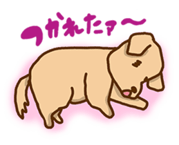 Rakkun3 sticker #3109730