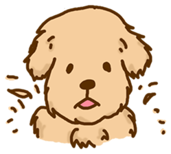 Rakkun3 sticker #3109732