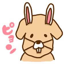 Rakkun3 sticker #3109741