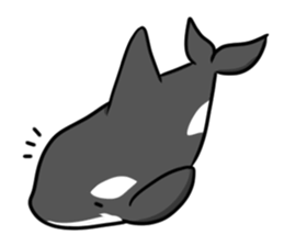 Dolphin's Daily Life sticker #3111894