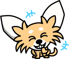 Life of Chihuahua. sticker #3112070