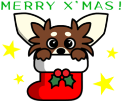 Life of Chihuahua. sticker #3112103