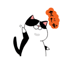 Nekojiro Sticker of cat sticker #3112319