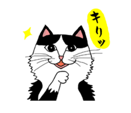 Nekojiro Sticker of cat sticker #3112346
