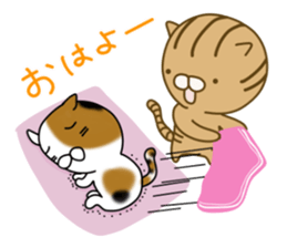 Torakichi's fun every day sticker #3112347