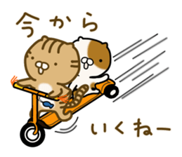 Torakichi's fun every day sticker #3112351