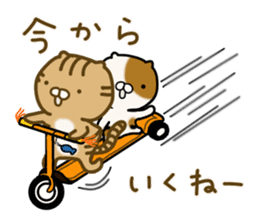 Torakichi's fun every day sticker #3112351