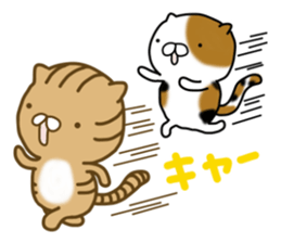 Torakichi's fun every day sticker #3112354