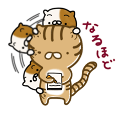 Torakichi's fun every day sticker #3112356