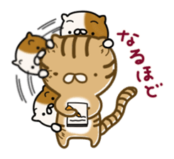 Torakichi's fun every day sticker #3112356