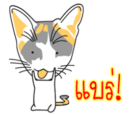 Maew Maew Thai Cat sticker #3115797
