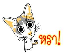 Maew Maew Thai Cat sticker #3115809