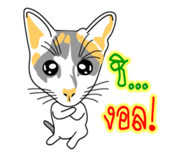 Maew Maew Thai Cat sticker #3115813