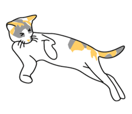 Maew Maew Thai Cat sticker #3115822