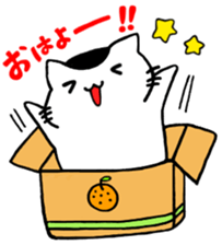 buchinekobiyori sticker #3116045