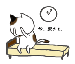 AKITArabbit&TOKYOcat sticker #3116373