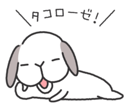 Lop Bunny, SHARIKICHI ~in SHIZUOKA~ sticker #3116524