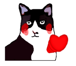 The funny stray cat (English version) sticker #3117392