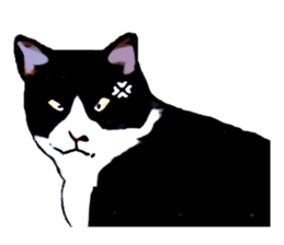 The funny stray cat (English version) sticker #3117394