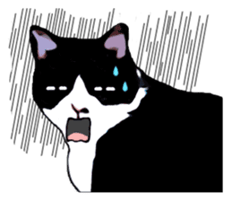 The funny stray cat (English version) sticker #3117395