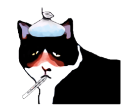 The funny stray cat (English version) sticker #3117396