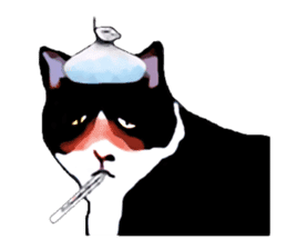 The funny stray cat (English version) sticker #3117396