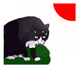 The funny stray cat (English version) sticker #3117399